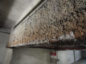 Steel rotting under cementitious